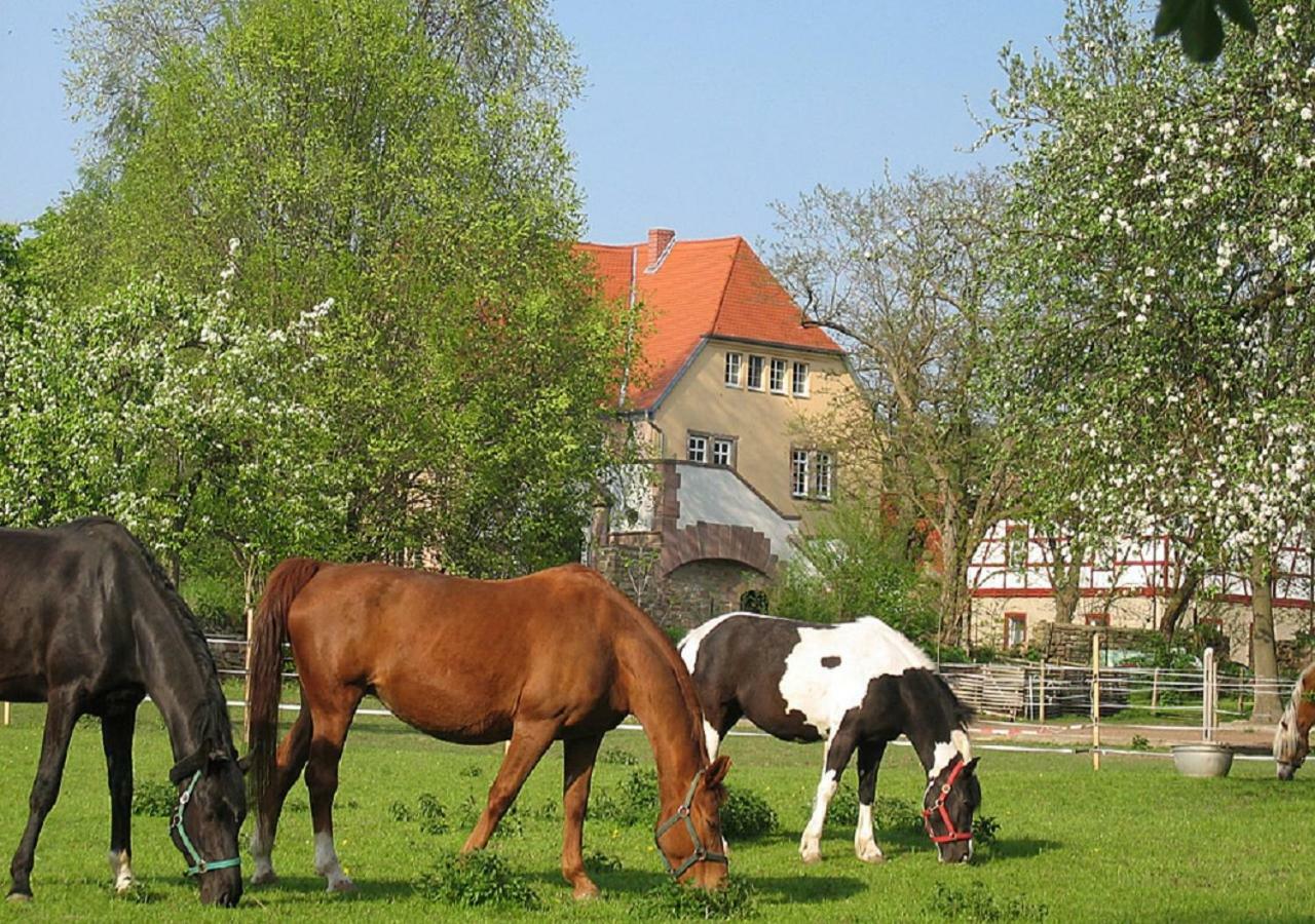 Gutshaus Von Bismarck Lejlighed An der Schmucke Eksteriør billede